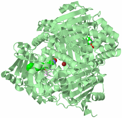 Image Biological Unit 2