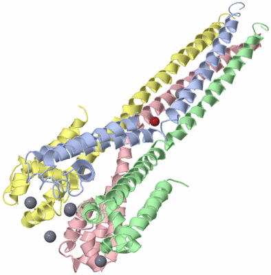 Image Asym./Biol. Unit