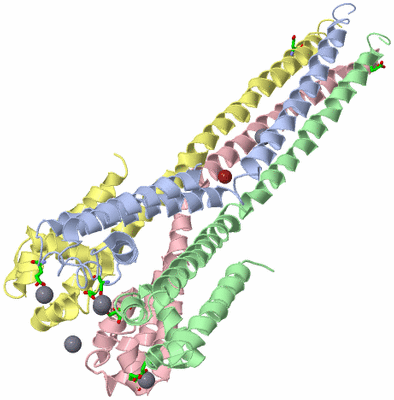 Image Asym./Biol. Unit - sites