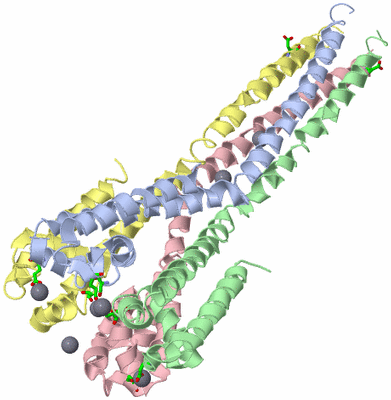 Image Asym./Biol. Unit - sites