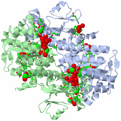 Image Asym./Biol. Unit - sites