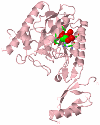 Image Biol. Unit 1 - sites