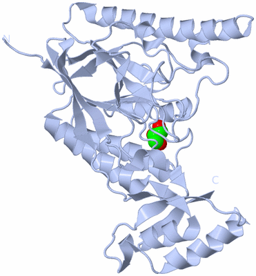 Image Biological Unit 3