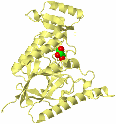 Image Biological Unit 4