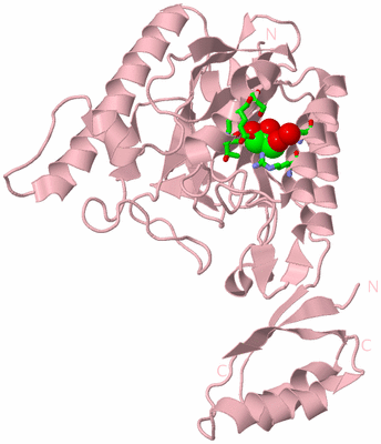 Image Biol. Unit 1 - sites