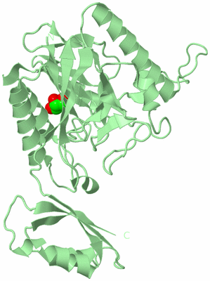 Image Biological Unit 2