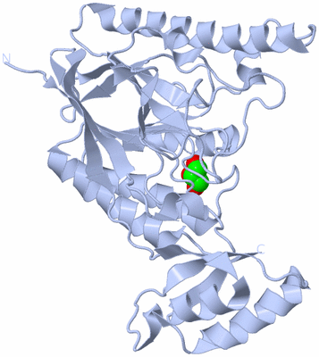 Image Biological Unit 3