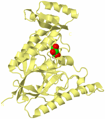 Image Biological Unit 4