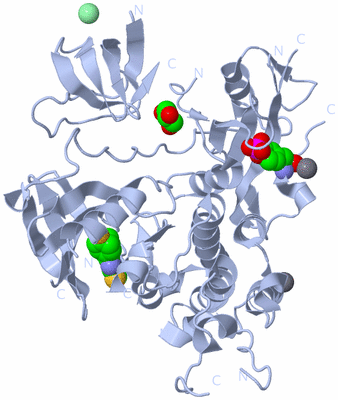 Image Biological Unit 1