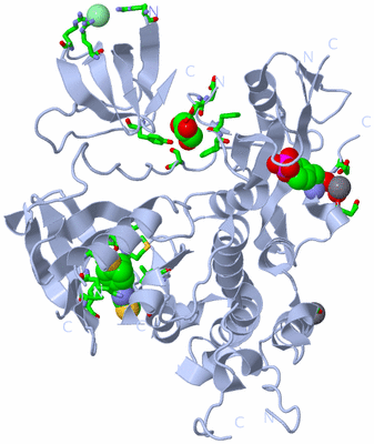 Image Biol. Unit 1 - sites