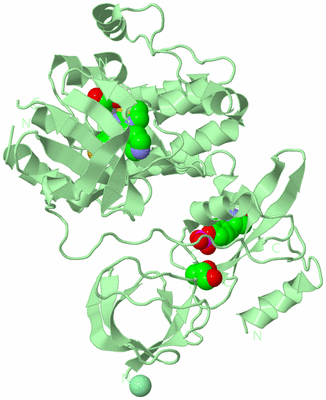 Image Biological Unit 2