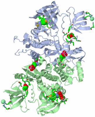 Image Asym. Unit - sites