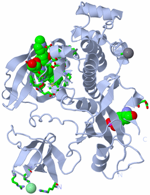 Image Biol. Unit 1 - sites