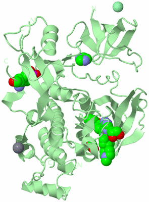 Image Biological Unit 2