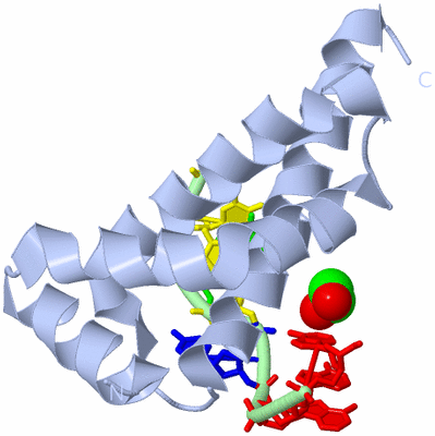 Image Biological Unit 1