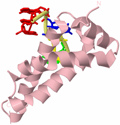 Image Biological Unit 2