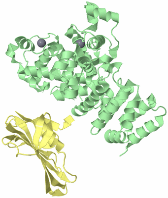 Image Biological Unit 2