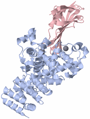 Image Biological Unit 3