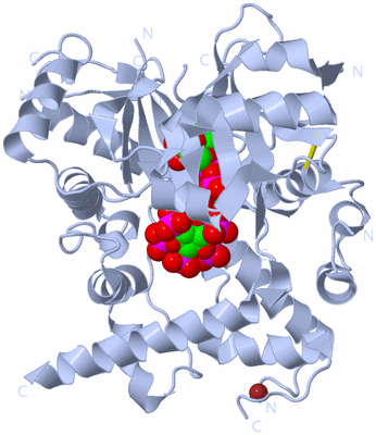 Image Biological Unit 1