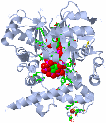 Image Biol. Unit 1 - sites