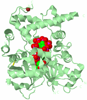 Image Biological Unit 2