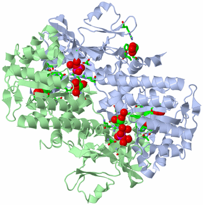 Image Asym./Biol. Unit - sites