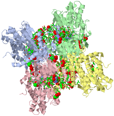 Image Asym./Biol. Unit - sites