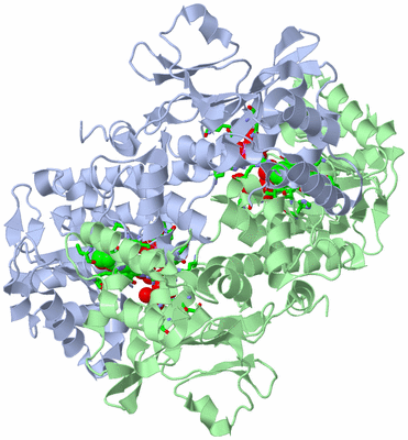 Image Asym./Biol. Unit - sites