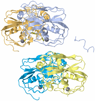 Image Biological Unit 1