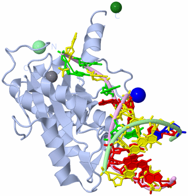 Image Biological Unit 1