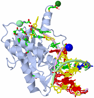 Image Biol. Unit 1 - sites