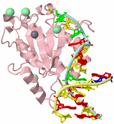 Image Biological Unit 2