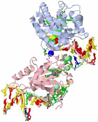 Image Asym. Unit - sites