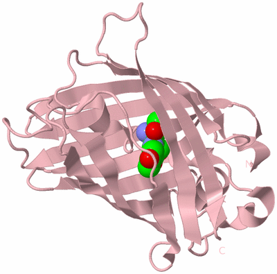 Image Biological Unit 3