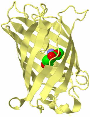 Image Biological Unit 4