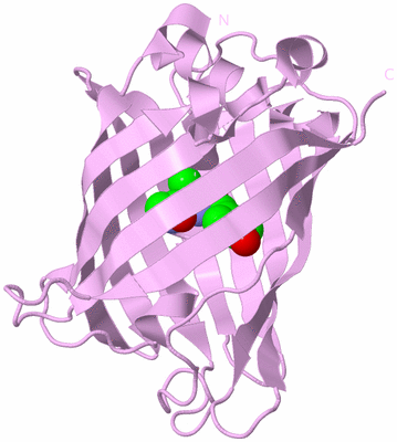 Image Biological Unit 5