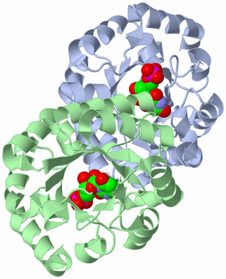 Image Asym./Biol. Unit