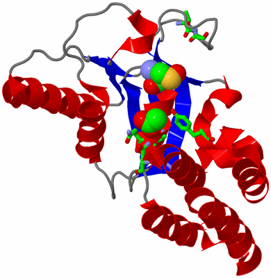 Image Asym./Biol. Unit - sites