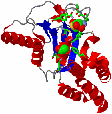 Image Asym./Biol. Unit - sites