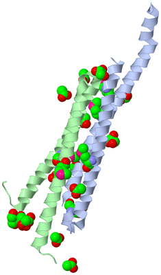 Image Asymmetric Unit