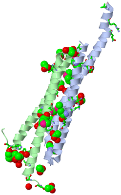 Image Asym. Unit - sites