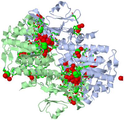 Image Asym./Biol. Unit - sites