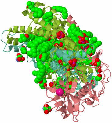 Image Asym./Biol. Unit