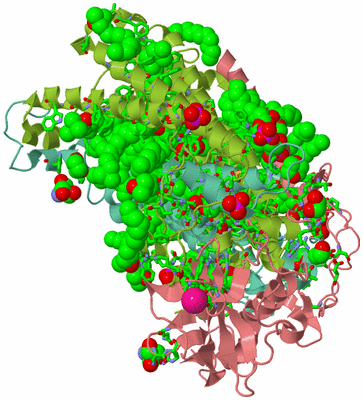 Image Asym./Biol. Unit - sites