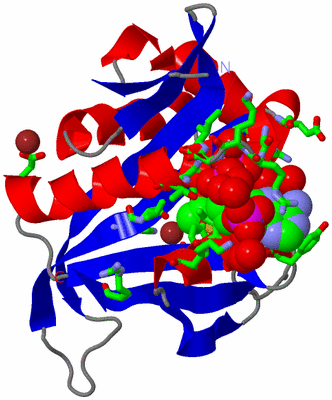 Image Asym./Biol. Unit - sites