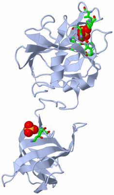 Image Biol. Unit 1 - sites