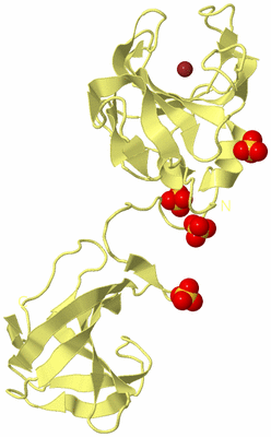 Image Biological Unit 4