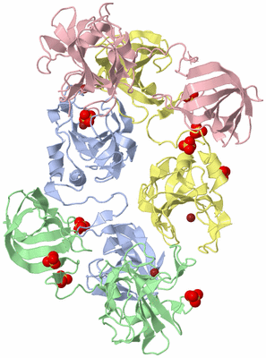 Image Biological Unit 5