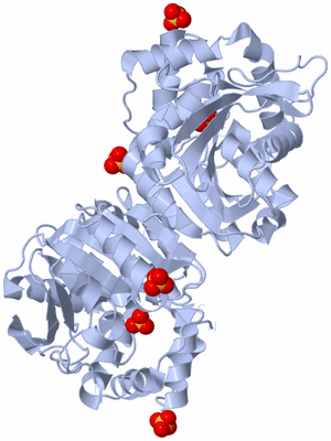 Image Biological Unit 1