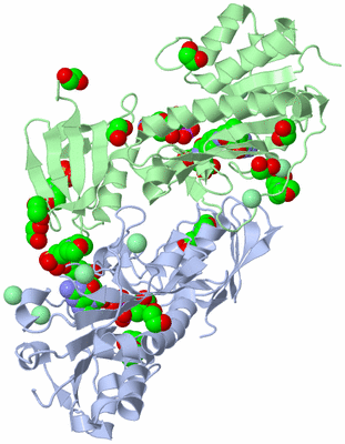 Image Asym./Biol. Unit